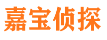 九龙市私家侦探